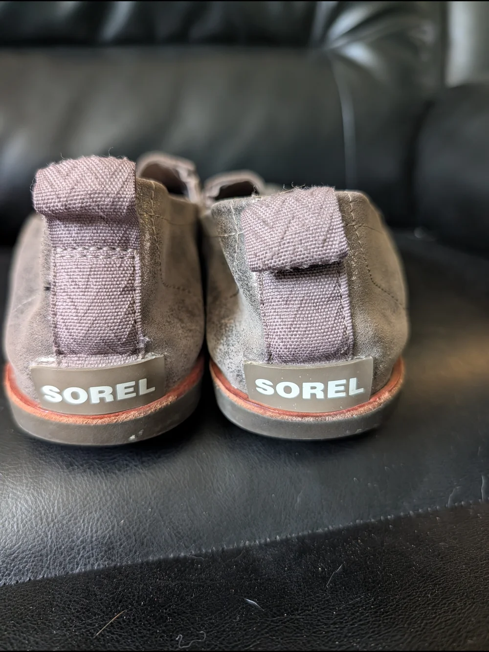 Sorel please review